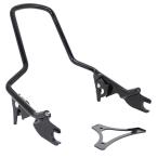  съемный "пассажирская спинка" стандартный размер :2009 год после touring /OEM54247-09/ блеск черный 