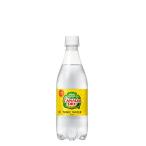 まとめ買い カナダドライ トニックウォーター 500ml PET 48本 （24本入り×2ケース） 2箱 CANADA DRY TONIC WATER