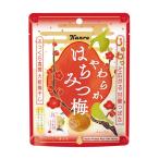 カンロ やわらかはちみつ梅 40g×1袋