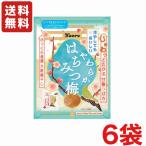 送料無料 カンロ やわらかはちみつ梅 40g×6袋   メール便