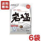 送料無料 扇雀飴本舗 岩塩キャンデー 80g×6袋   メール便