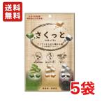 送料無料 大丸本舗 さくっと3つの味アソート 55g×5袋 メール便