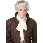  серый длинный bundle . парик, парик средний . Europe . группа костюмированная игра 