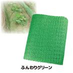  птица .. сеть мягкий зеленый птица ..kalas защита от птиц сеть сеть огород поле фруктовое дерево садоводство зона для выброса мусора веранда птица меры садоводство сопутствующие товары животное избежать 