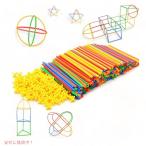 【並行輸入品】RAINBOW TOYFROG ストローで組み立てよう STEM組立玩具 (300ピース) 教育玩具