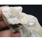 超希少！ カリフォルニア産 オパール 原石 鉱物 天然石　42,6g CAO019 California Opal