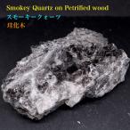 スモーキー クォーツ on 珪化木 煙水晶 301g SQZ078 鉱物　原石　天然石　パワーストーン