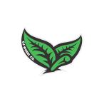o- J Wheel OJ WHEELS 3.5 in x 3 in LEAF STICKER стикер переводная картинка наклейка скейтборд скейтборд 