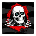 pa well * винт rutaPOWELL PERALTA 20 x 20inch RIPPER BANNER баннер магазин риппер bo-nz Old school наклейка скейтборд (2311)