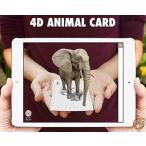 Animal 4D+ フラッシュカードバンドル 内容：5枚の食べ物カード 6枚の動物カード 送料無料