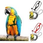  попугай . птица. тренировка для регулировка возможный Harness, нет .. трос, наружный. полет трос, средний а также большой птица для 