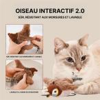 鳥猫おもちゃ 模擬鳥インタラクションおもちゃ スズメ USB充電式 飛ぶ鳥猫おもちゃ 室内猫用 猫首輪＆リード