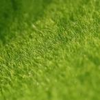  многоцелевой . многофункциональный . нет .15cm Moss коврик, аквариум для искусственный газон коврик, водоросли, стильный аквариум аксессуары 