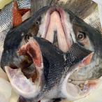  лосось арамаки самец лосось большой размер примерно 2.7kg 2024 новый предмет Hokkaido производство порез . version [aki ставрида японская осень лосось белый лосось ] стоимость доставки P330