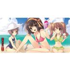 涼宮ハルヒの憂鬱 ラバープレイマット 水着コレクション C[キャラアニ]《在庫切れ》