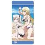 ラバープレイマットコレクション「戦翼のシグルドリーヴァ」海辺のワルキューレver.[KADOKAWA]《在庫切れ》