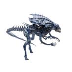 AVP 1/18 アクションフィギュア エイリアン クィーン[ハイヤトイズ]《０９月予約》