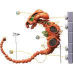 figma R-TYPE ドブケラドプス（再販）[フリーイング]【送料無料】《０７月予約》