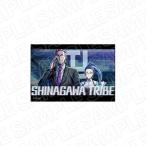 TRIBE NINE (トライブナイン) スクエアマグネット シナガワトライブ[コンテンツシード]《在庫切れ》