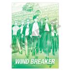 WIND BREAKER シングルクリアファイル 防風鈴 グリーン[クラックス]《在庫切れ》
