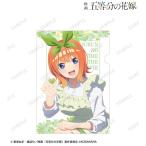映画『五等分の花嫁』 描き下ろしイラスト 中野四葉 制服エプロンver. クリアファイル[アルマビアンカ]《在庫切れ》