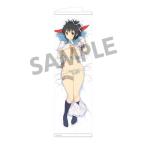 閃乱カグラ スリムタペストリー 飛鳥A[ホビーストック]《在庫切れ》