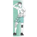 ハイキュー！！ ポートレートシリーズ BIGファブリックポスター 及川徹[タカラトミーアーツ]《在庫切れ》