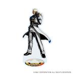 (s)ｱｸﾘﾙｽﾀﾝﾄﾞ｢餓狼伝説 City of the Wolves｣14/ｶｲﾝ･R･ﾊｲﾝﾗｲﾝ(公式ｲﾗｽﾄ)