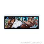 (s)ﾐﾆｱｸﾘﾙﾌﾞﾛｯｸ｢餓狼伝説 City of the Wolves｣04/ﾏﾙｺ･ﾛﾄﾞﾘｹﾞｽ(公式ｲﾗｽﾄ)