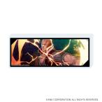 (s)ﾐﾆｱｸﾘﾙﾌﾞﾛｯｸ｢餓狼伝説 City of the Wolves｣07/ﾎﾞｯｸｽ･ﾘｰﾊﾟｰ(公式ｲﾗｽﾄ)