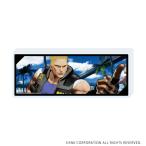 (s)ﾐﾆｱｸﾘﾙﾌﾞﾛｯｸ｢餓狼伝説 City of the Wolves｣09/ｹﾋﾞﾝ･ﾗｲｱﾝ(公式ｲﾗｽﾄ)