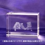 KDcolle5周年記念 『オーバーロー