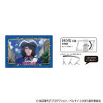 Amiami goods 04672008