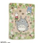 となりのトトロ 毛布「いちご見つけた」[丸眞]《発売済・在庫品》