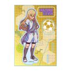 イナズマイレブン 英雄たちのヴィクトリーロード ビビッドラインシリーズ アクリルスタンド アフロディ[ツインクル]《０３月予約》