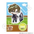 新テニスの王子様 フレフレンズBIGアク