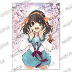 KADOKAWA ранобэ EXPO2020 официальный память книга@ Sakura сотрудничество![KADOKAWA][ бесплатная доставка ]{ нет в наличии }