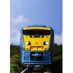 10-485 883系「ソニック」(イエロー) 5両セット（再販）[KATO]【送料無料】《０５月予約》