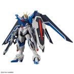 HG 1/144 ライジングフリーダムガンダム