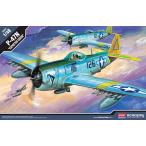 1/48 P-47N サンダーボルト “エクスペクテッド・グース”