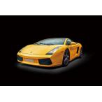 1/24 ランボルギーニ ガヤルド 日本語対訳補足説明書付属 プラモデル[イタレリ]《０２月予約》