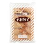 サン印向山食品　手羽餃子　50g×10