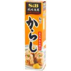 SB食品　ねりからし　43g