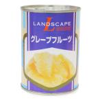 LANDSCAPE　グレープフルーツ　540g