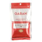 ギャバン　ガパオシーズニング　100