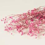 大粒カスミソウ　ピンク　＜ドライフラワー・フラワーアレンジメント・ハーバリウム・花材・花資材＞