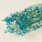 大粒カスミソウ　ブルー　＜ドライフラワー・フラワーアレンジメント・ハーバリウム・花材・花資材＞