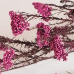 ライスフラワー　ホットピンク（60g入）　＜プリザーブドフラワー・フラワーアレンジメント・花材・花資材＞