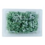 【大地農園】ソフトピラミッドアジサイ　ブルーグリーン　＜プリザーブドフラワー・フラワーアレンジメント・花材・紫陽花＞