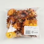 ヘリクリサム・ヘッド　オレンジ（約10g）　＜ドライフラワー・フラワーアレンジメント・花材・花資材＞